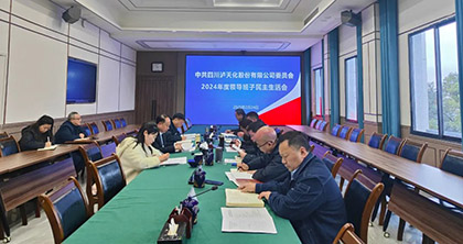 163银河线路股份公司党委召开2024年度领导班子民主生活会